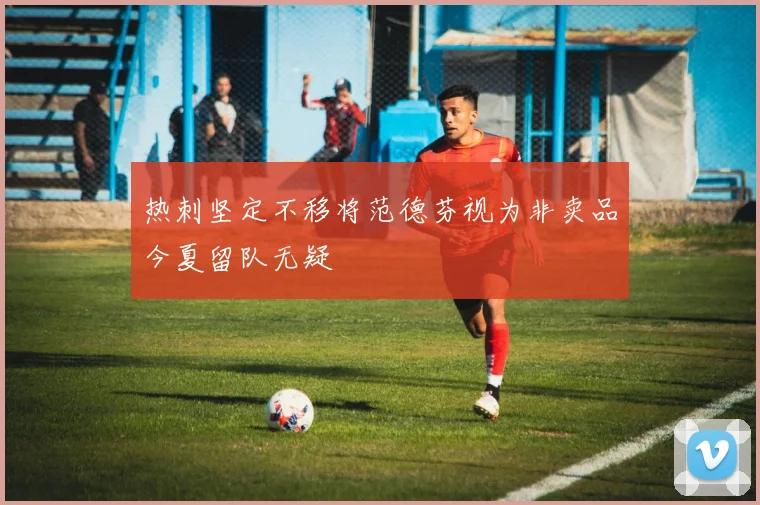 热刺坚定不移将范德芬视为非卖品今夏留队无疑
